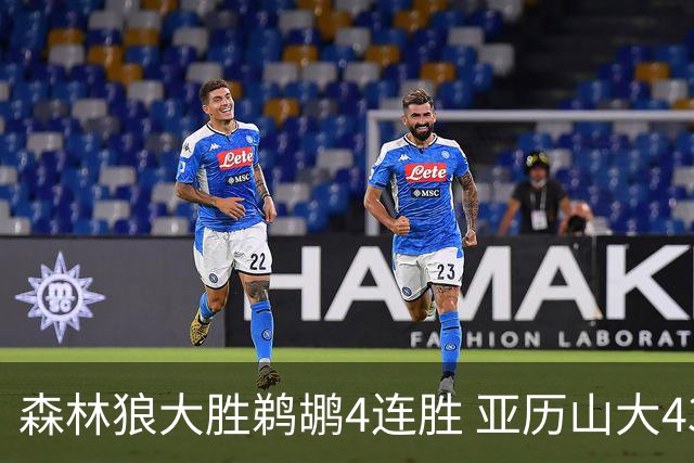 森林狼大胜鹈鹕4连胜 亚历山大43分雷霆克骑士