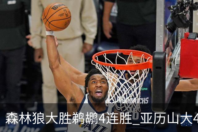 森林狼大胜鹈鹕4连胜 亚历山大43分雷霆克骑士
